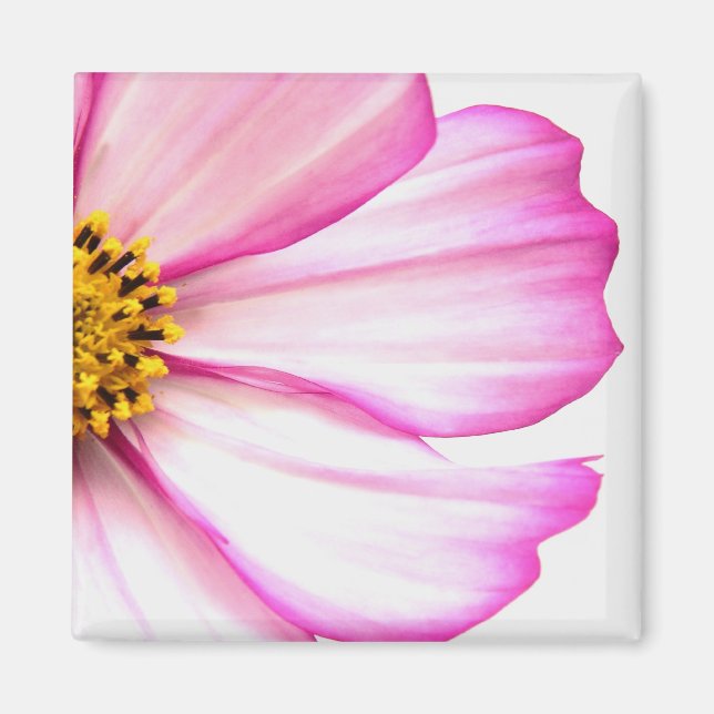 Pink Floral Magnet (Front)