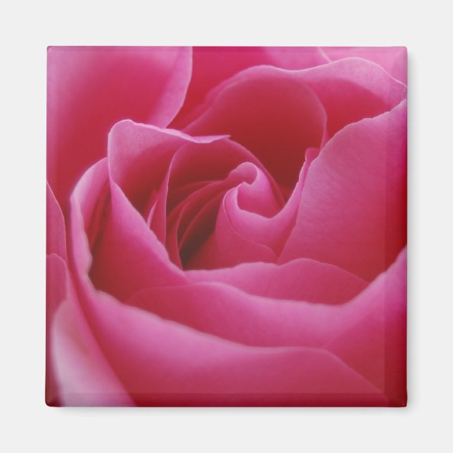 Pink Floral Magnet (Front)