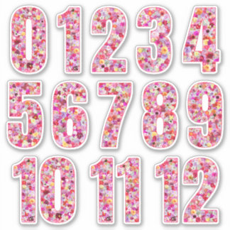 Pink Floral Numbers Twelve Months 