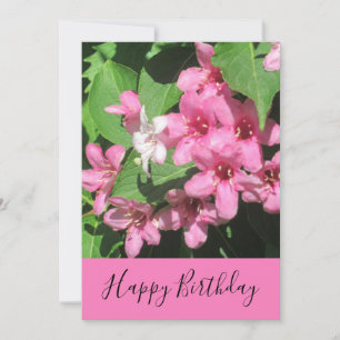 Pink Floral Photography Birthday