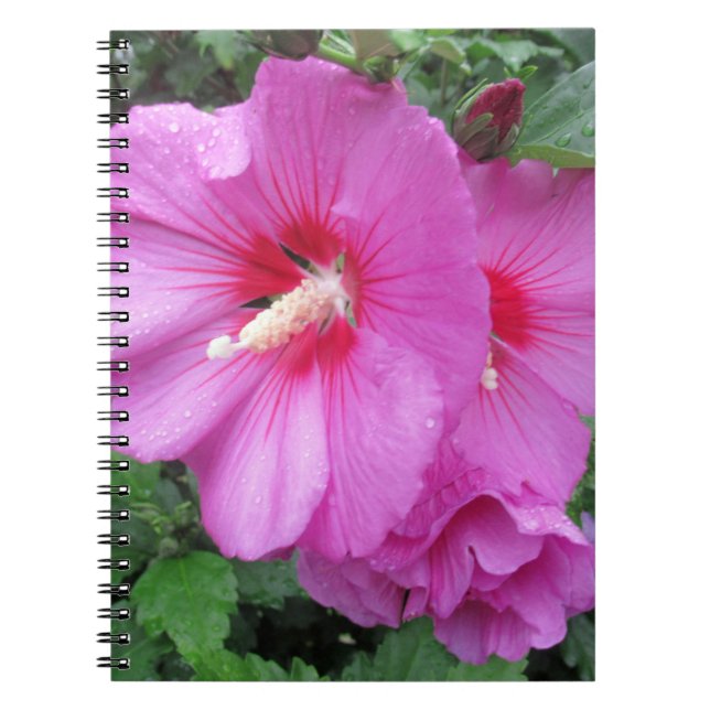 Pink Floral Photography  Notebook (Front)