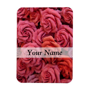 Pink floral roses magnet