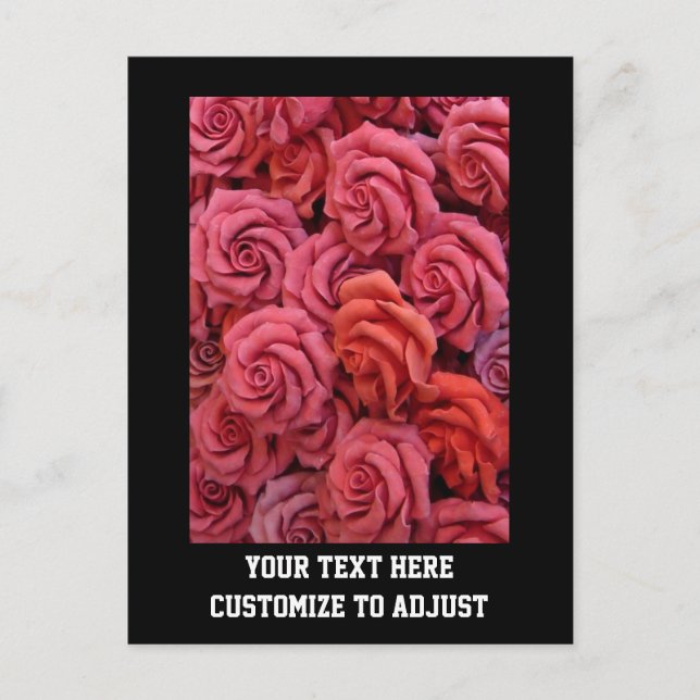 Pink floral roses postcard (Front)
