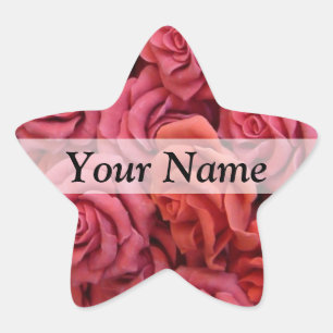 Pink floral roses star sticker