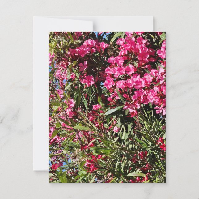 Pink floral RSVP card (Front)