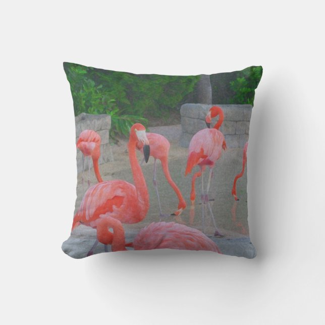 Pink Florida Flamingos Watercolor Cushion (Front)