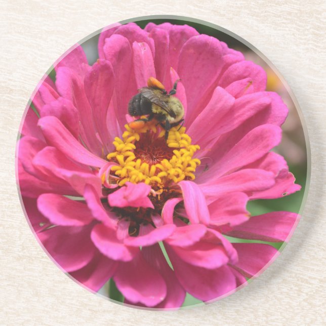 Pink flower and Bumble bee Coaster (Front)