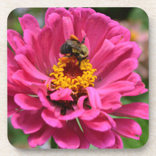 Pink flower and Bumble bee Coaster