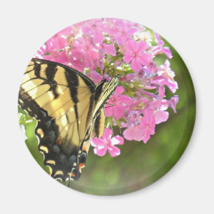 Pink Flower and Butterfly Magnet