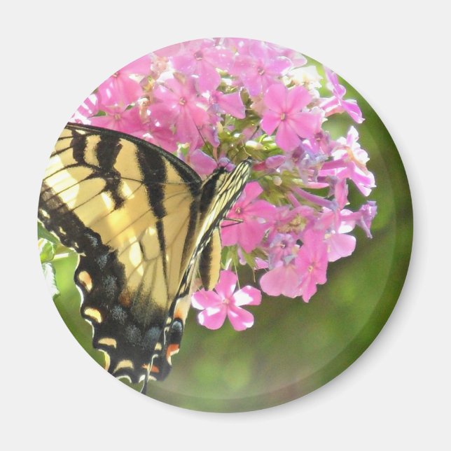 Pink Flower and Butterfly Magnet (Front)