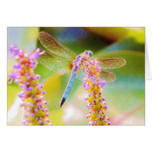 pink flower and dragon fly
