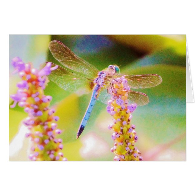 pink  flower and dragon fly (Front Horizontal)