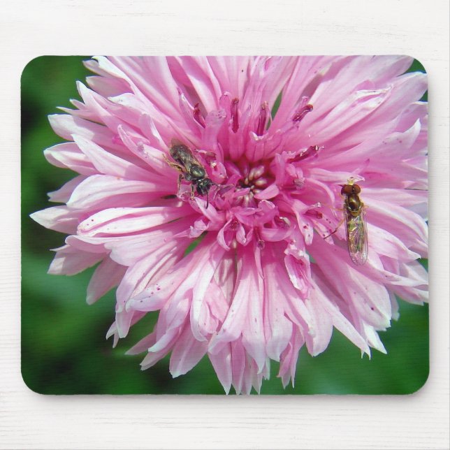 Pink Flower and Insects Mouse Pad (Front)