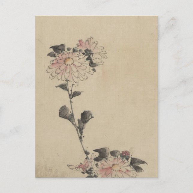 Pink Flower Blossoms on Low Stalk by Hokusai Postcard (Front)
