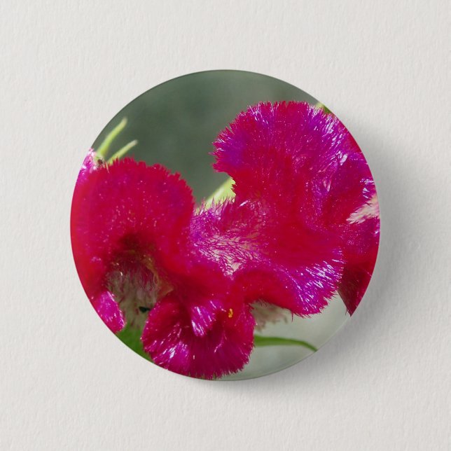 Pink Flower Button (Front)