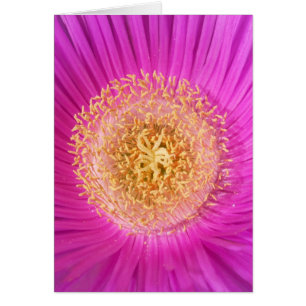 Pink Flower Card