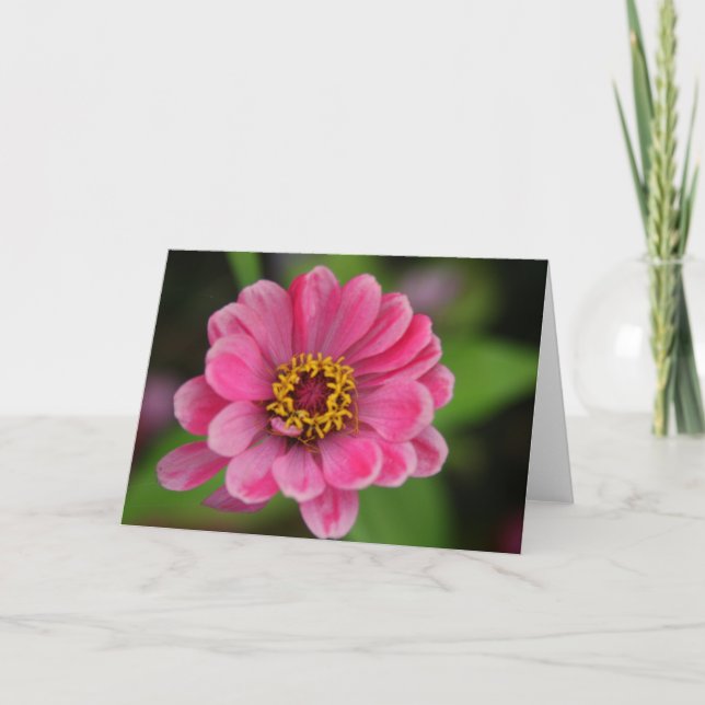 pink flower card (Front)