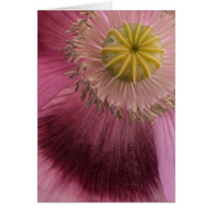 Pink Flower Card