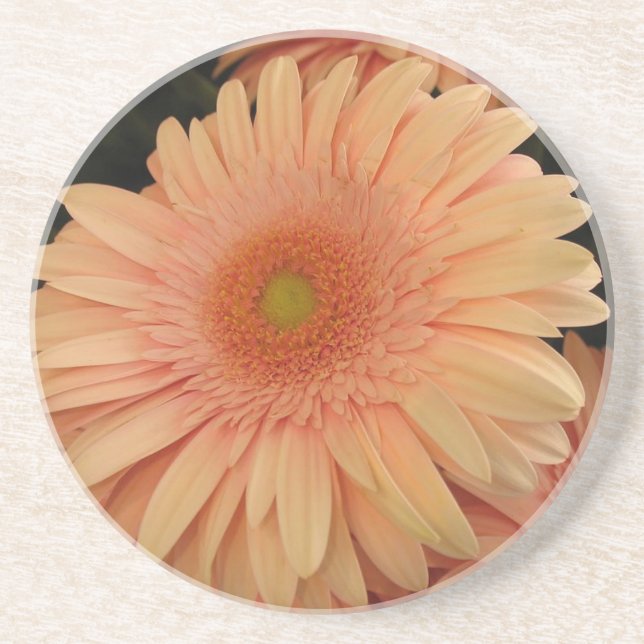 Pink Flower Coaster (Front)