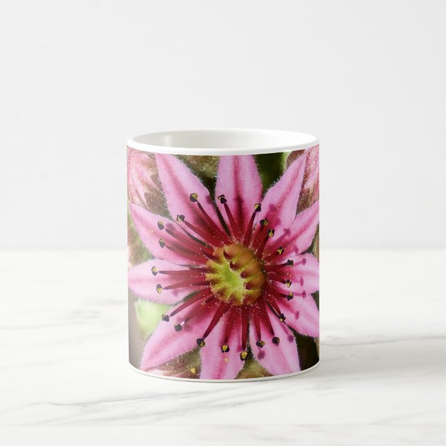 Pink Flower Coffee Mag Mug (Center)