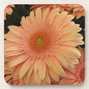 Pink Flower Cork Coaster