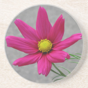 Pink Flower custom coaster