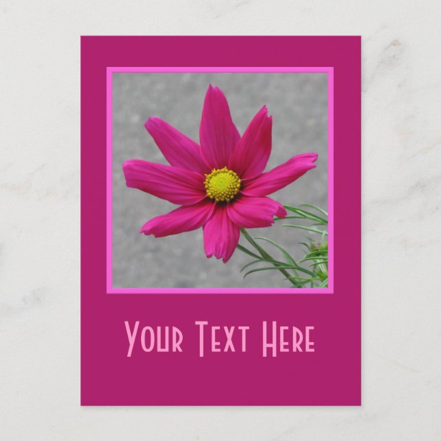 Pink Flower custom postcard (Front)
