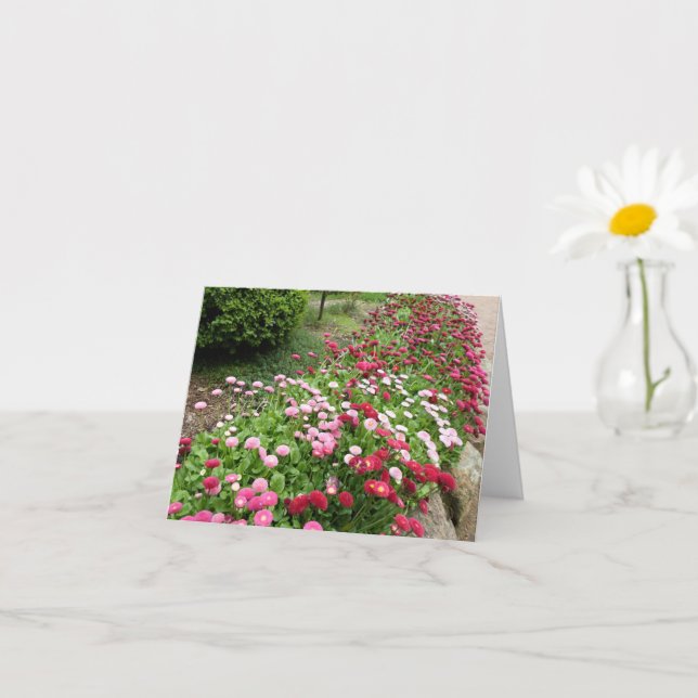 Pink Flower Garden Card (Small Plant)