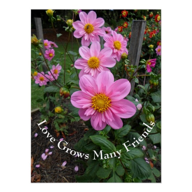 Pink Flower Garden Poster (Front)