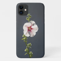 Pink Flower green leaves on dark grey Mallow