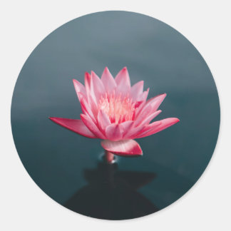 Pink Flower Greeting Card set Classic Round Sticker