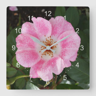 pink flower in the shade square wall clock