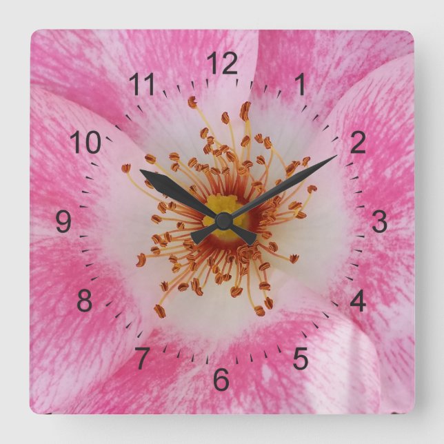 pink flower in the shade square wall clock (Front)