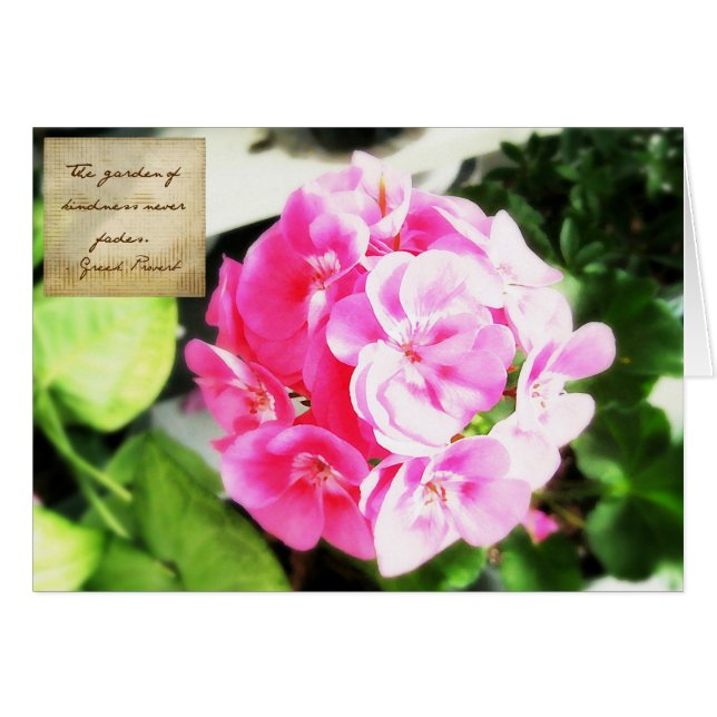 Pink Flower & Kindness Proverb (Front Horizontal)