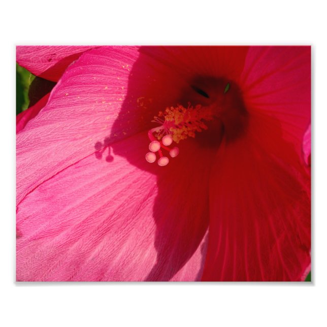 Pink Flower Kodak Professional Photo Paper (Satin) Print (Front)