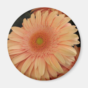 Pink Flower Magnet