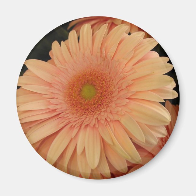 Pink Flower Magnet (Front)