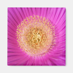 Pink Flower Magnet