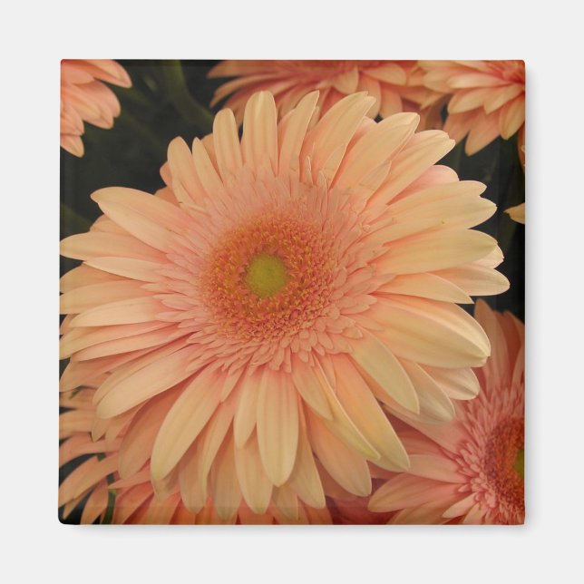 Pink Flower Magnet (Front)
