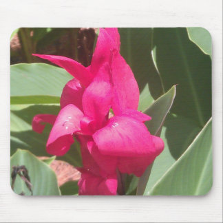 Pink Flower Mouse Pad