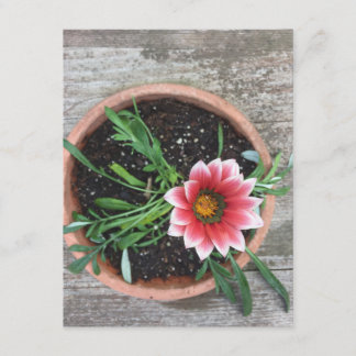 Pink Flower Note Card