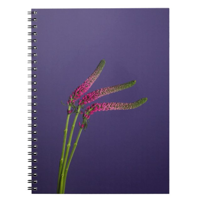 Pink Flower Notebook (Front)