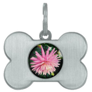 Pink flower pet ID tag