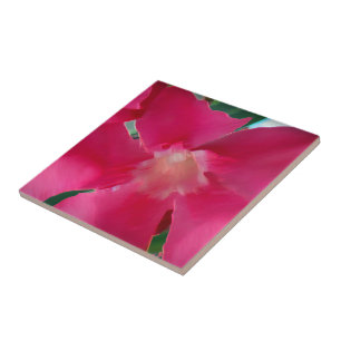 Pink Flower Petals Ceramic Tile
