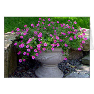 Pink Flower Planter Notes