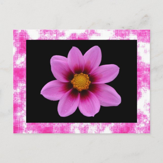 Pink Flower Postcard (Front)