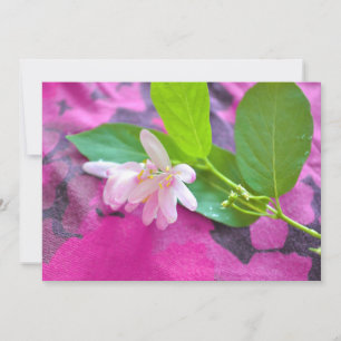 Pink flower postcard