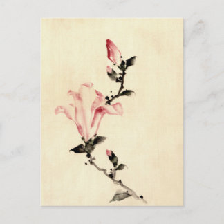 Pink Flower Postcard