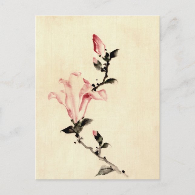 Pink Flower Postcard (Front)