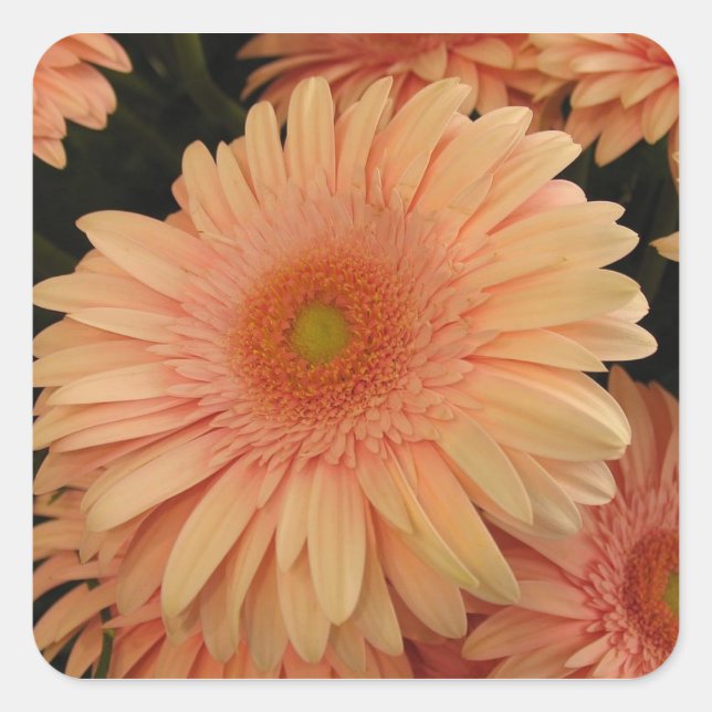Pink Flower Square Sticker (Front)